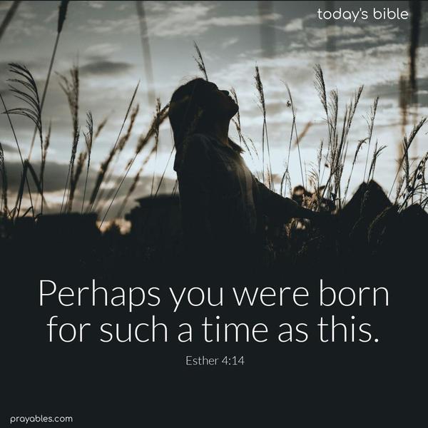 Perhaps you were born for such a time as this. Esther 4:14