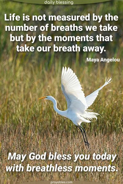 Life is not measured by the number of breaths we take but by the moments that take our breath away. May God bless you today with breathless moments. Maya Angelou