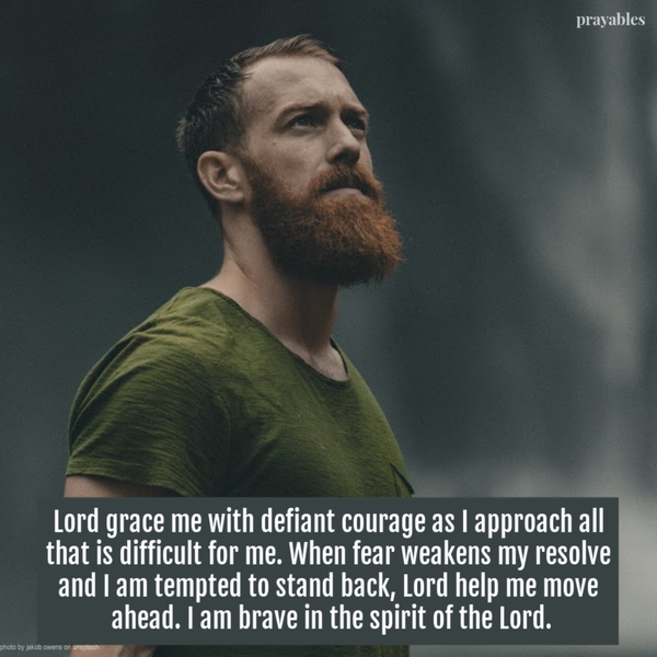 Lord grace me with defiant courage as I approach all that is difficult for me. When fear weakens my resolve and I am tempted to stand back, Lord help me move ahead. I am brave in the spirit of the Lord.