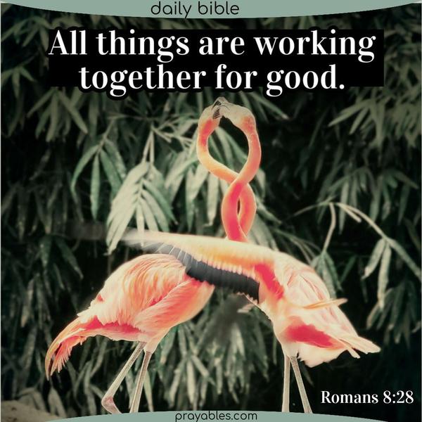 Romans 8:28 All things are working together for good. 