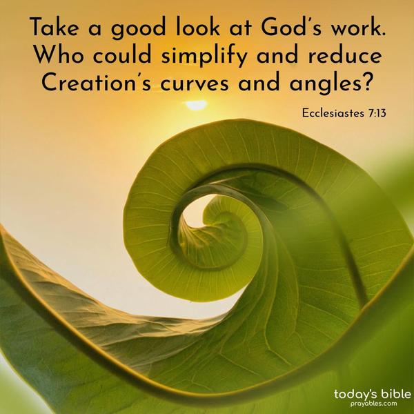 Take a good look at God’s work. Who could simplify and reduce Creation’s curves and angles? Ecclesiastes 7:13
