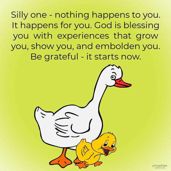 Silly one – nothing happens to you. It happens for you. God is blessing you with experiences that grow you, show you, and embolden you. Be grateful – it’s happening starting now.