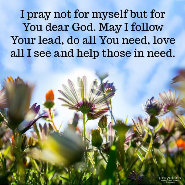 I pray not for myself but for You dear God. May I follow Your lead, do all You need, love all I see and help those in need. Amen