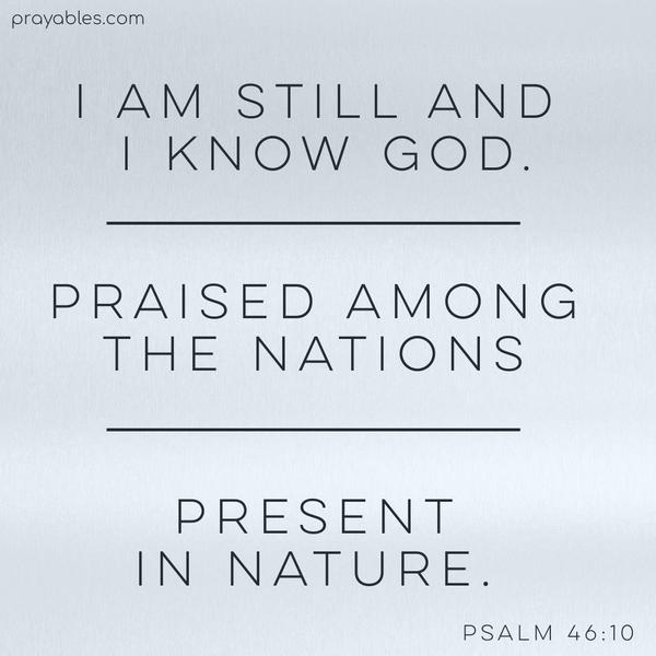 Psalm 46:10 I am still and I know God. Praised among the nations, present in nature.