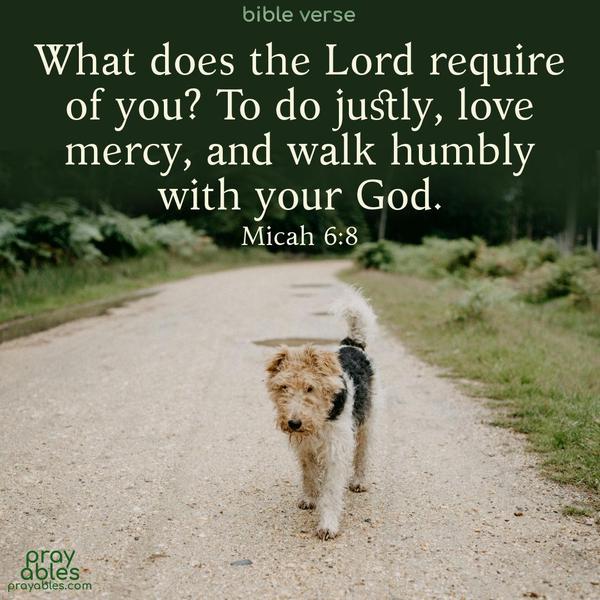 What does the Lord require of you? To do justly, love mercy, and walk humbly with your God. Micah 6:8