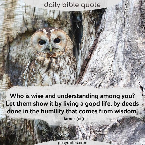 James 3:13 Who is wise and understanding among you? Let them show it by living a good life, by deeds done in the humility that comes from
wisdom.