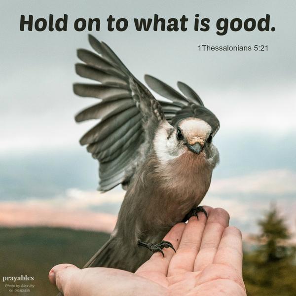 1Thessalonians 5:21 Hold on to what is good. 