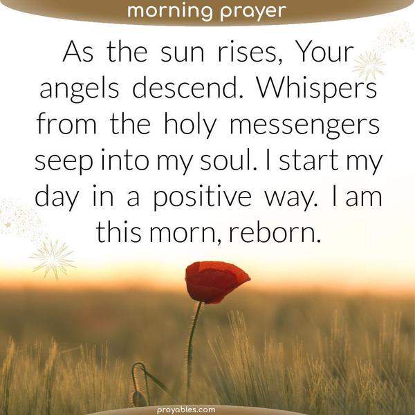 As the sun rises, Your angels descend. Whispers from the holy messengers seep into my soul. I start my day in a positive way. I am this morn,
reborn.