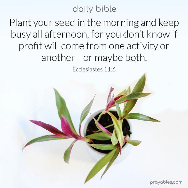 Plant your seed in the morning and keep busy all afternoon, for you don’t know if profit will come from one activity or another—or maybe both. Ecclesiastes 11:6