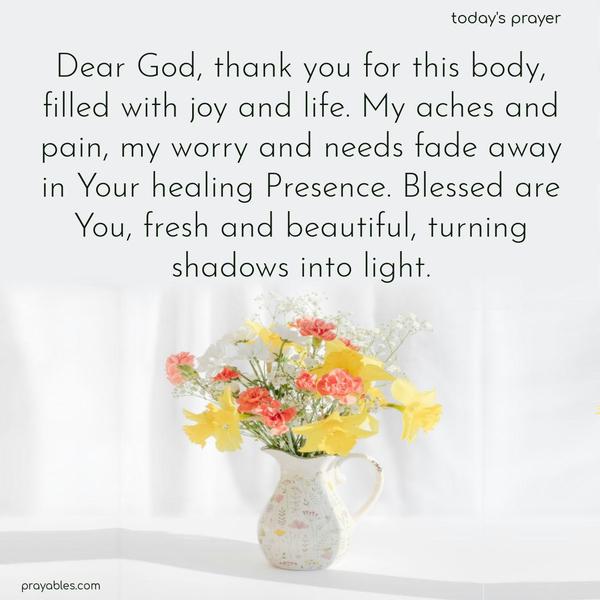 Dear God, thank you for this body, filled with joy and life. My aches and pain, my worry and needs fade away in Your healing Presence. Blessed are You, fresh and beautiful, turning shadows into light.