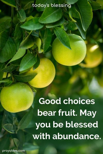 Good choices bear fruit. May you be blessed with abundance.