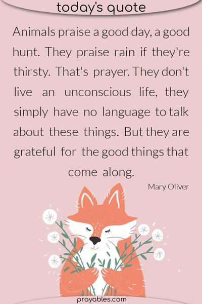 Animals praise a good day, a good hunt. They praise rain if they’re thirsty. That’s prayer. They don’t live an unconscious life, they simply have no language to talk about
these things. But they are grateful for the good things that come along. Mary Oliver