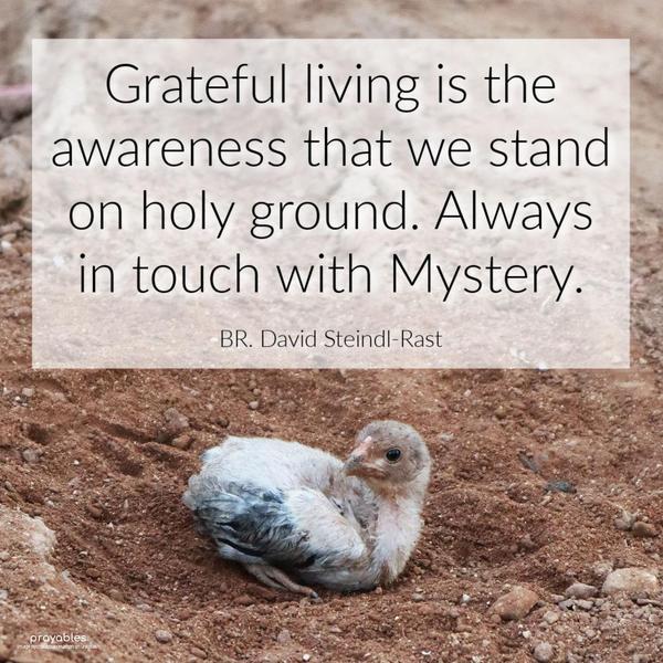 Grateful living is the awareness that we stand on holy ground. Always in touch with Mystery. BR. David Steindl-Rast