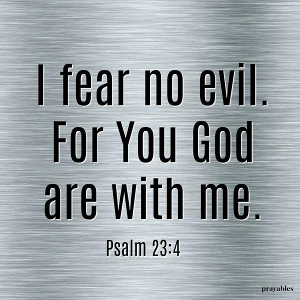 Psalm 23:4 I fear no evil, for You God are with me.