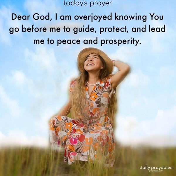 Dear God, I am overjoyed knowing You go before me to guide me, protect me, and lead me to peace and prosperity.