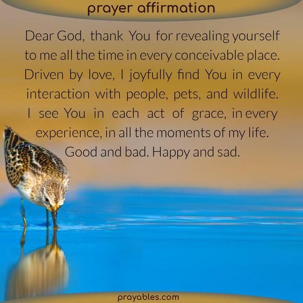 Dear God, thank You for always revealing yourself to me in every conceivable place. Driven by love, I joyfully find You in every interaction with people, pets, and wildlife. I
see You in each act of grace, in every experience, in all the moments of my life. Good and bad. Happy and sad.