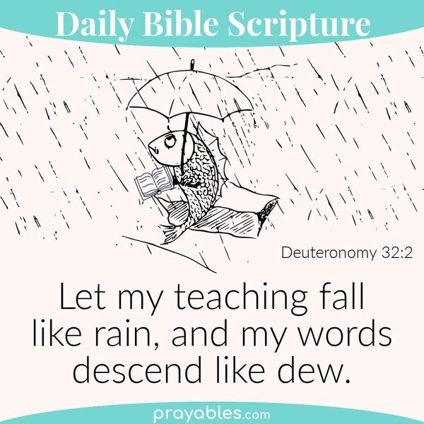Deuteronomy 32:2 Let my teaching fall like rain, and my words descend like dew.
