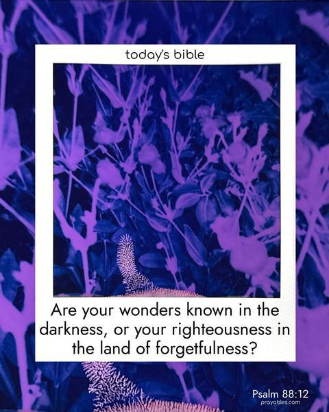 Are your wonders known in the darkness, or your righteousness in the land of forgetfulness? Psalm 88:12