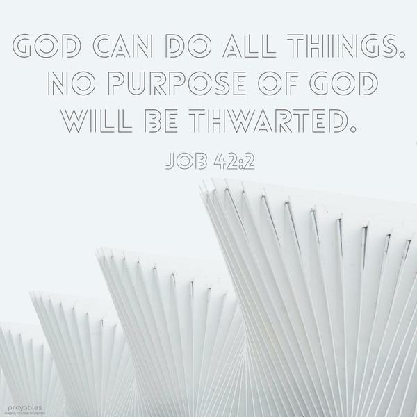 Job 42:2 God can do all things. No purpose of God will be thwarted.