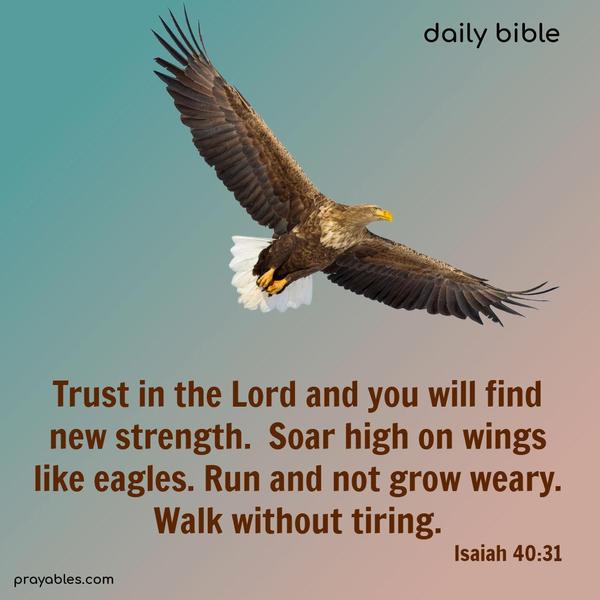 Trust in the Lord and you will find new strength. Soar high on wings like eagles. Run and not grow weary. Walk without tiring. Isaiah 40:31