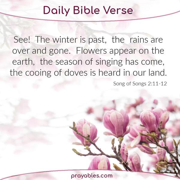 Song of Songs 2:11-12 See! The winter is past; the rains are over and gone. Flowers appear on the earth; the season of singing has come, the cooing of doves is heard in our
land.