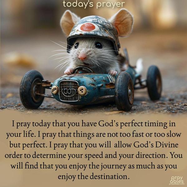 I pray today that you have God’s perfect timing in your life. I pray that things are not too fast or too slow – but perfect. I pray that you will allow God’s Divine order to determine your speed and your direction. You will find that you enjoy the journey as much as you enjoy the destination.