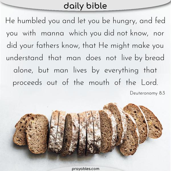 Deuteronomy 8:3 He humbled you and let you be hungry, and fed you with manna which you did not know, nor did your fathers know, that He might make you understand that man does
not live by bread alone, but man lives by everything that proceeds out of the mouth of the Lord.