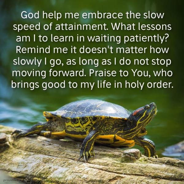 God help me embrace the slow speed of attainment. What lessons am I to learn in waiting patiently? Remind me it doesn’t matter how slowly I go, as long as I do not stop moving forward.
Praise to You, who brings good to my life in holy order.