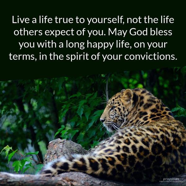 Live a life true to yourself, not the life others expect of you. May God bless you with a long, happy life, on your terms, in the spirit of your convictions.