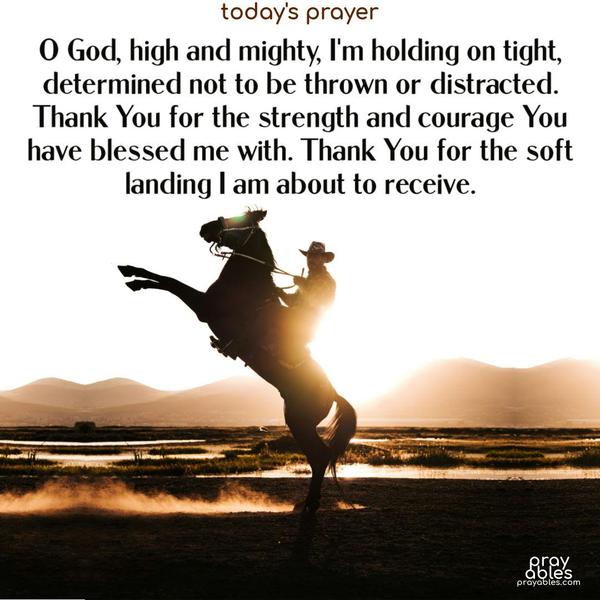 O God, high and mighty, I’m holding on tight, determined not to be thrown or distracted. Thank You for the strength and courage You have blessed me with. Thank You for the soft landing I am about to receive.