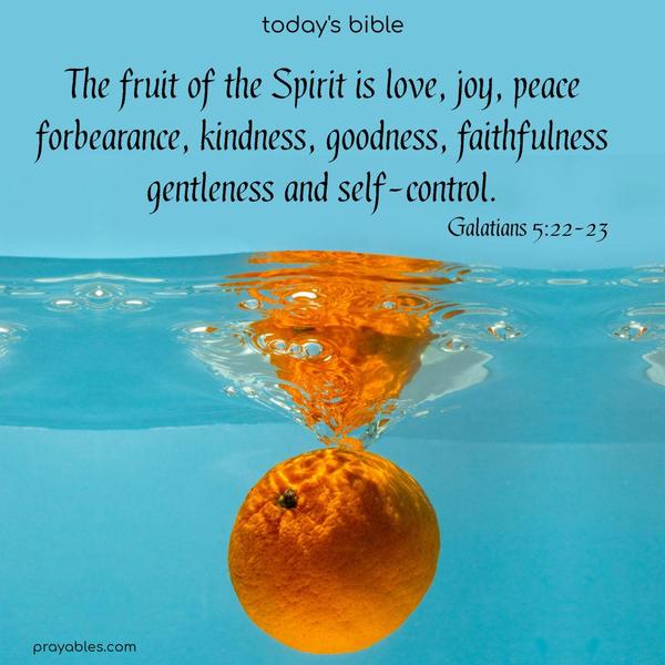 *The fruit of the Spirit is love, joy, peace, forbearance, kindness, goodness, faithfulness, gentleness, and self-control. Galatians 5:22-23