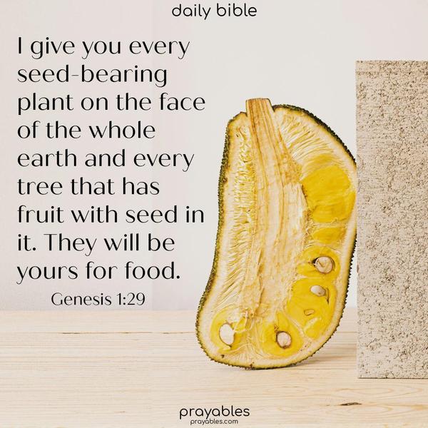 I give you every seed-bearing plant on the face of the whole earth and every tree that has fruit with seed in it. They will be yours for food. Genesis 1:29