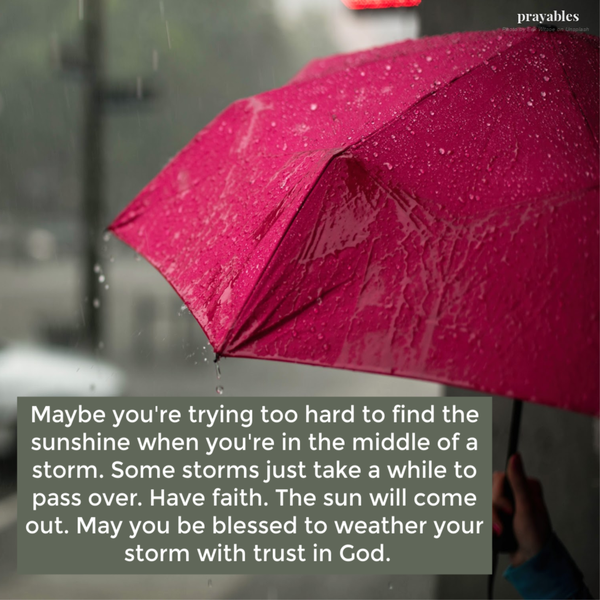 Maybe you’re trying too hard to find the sunshine when you’re in the middle of a storm. Some storms just take a while to pass over. Have faith. The sun will come out. May you be blessed to weather your storm with trust in God.