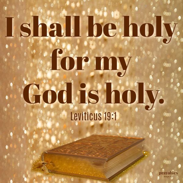 Leviticus 19:1  I shall be holy for my God is holy.