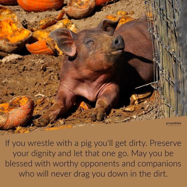 If you wrestle with a pig you'll get dirty. Preserve your dignity and let that one go. May you be blessed with worthy opponents and companions who will
never drag you down in the dirt.