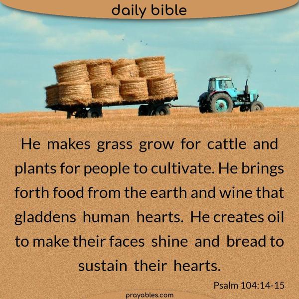 Psalm 104:14-15 He makes grass grow for cattle and plants for people to cultivate. He brings forth food from the earth and wine that gladdens human hearts. He creates oil to
make their faces shine and bread to sustain their hearts.