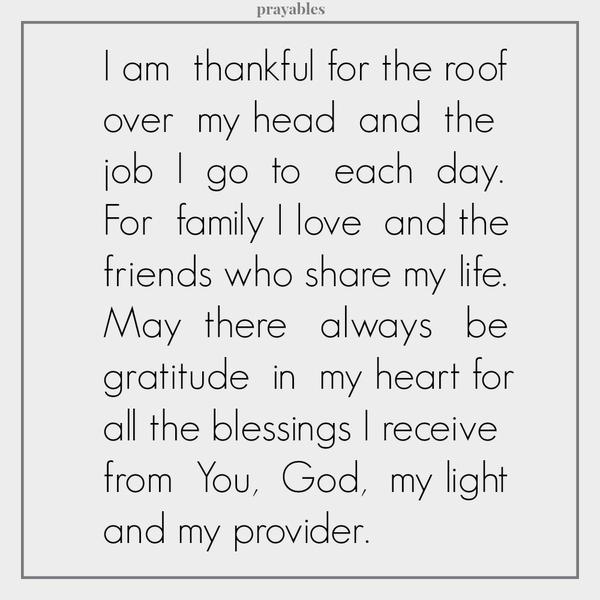 I am thankful for the roof over my head and the job I go to each day. For family I love and the friends who share my life. May there always be gratitude in my heart for all the blessings I receive from You, God, my light and my
provider.