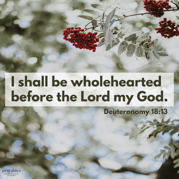 Deuteronomy 18:13 I shall be wholehearted before the Lord my God.