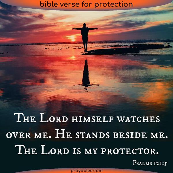Psalms 121:5 The Lord himself watches over me! He stands beside me. The Lord is my protector.