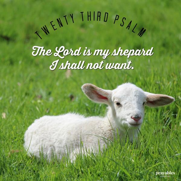 23rd Psalm The Lord is my shepherd I shall not want.