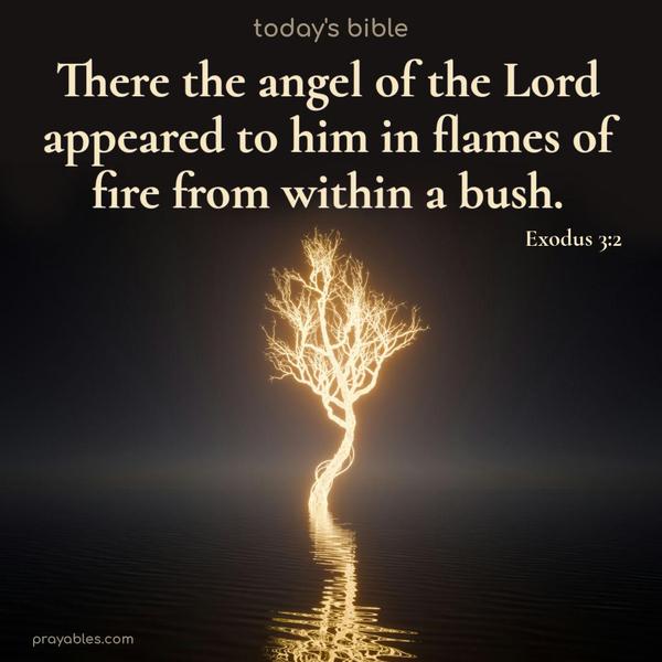 There the angel of the Lord appeared to him in flames of fire from within a bush. Exodus 3:2