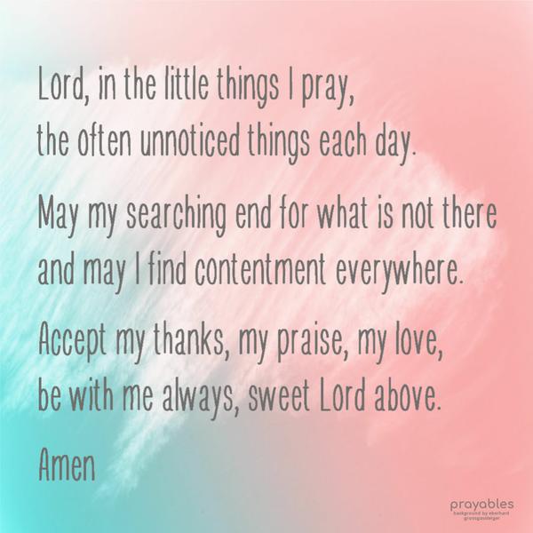 Lord, in the little things I pray, the often unnoticed things each day. May my searching end for what is not there, and may I find
contentment everywhere. Accept my thanks, my praise, my love, be with me always sweet Lord above.