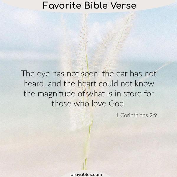 1 Corinthians 2:9 The eye has not seen, the ear has not heard, and the heart could not know the magnitude of what is in store for those who
love God.