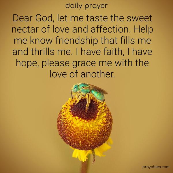 Dear God, let me taste the sweet nectar of love and affection. Help me know friendship that fills me and thrills me. I have faith, I have hope, please grace me with the love of another.