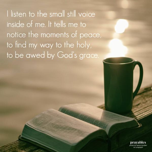 I listen to the small still voice inside of me. It tells me to notice the moments of peace, to find my way to the holy, to be awed by God’s grace.