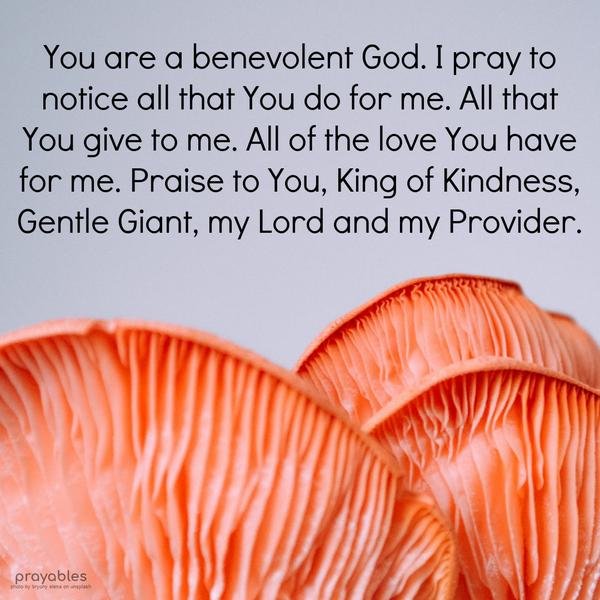 You are a benevolent God. I pray to notice all that You do for me. All that You give to me. All of the love You have for me. Praise to You, King of Kindness, Gentle Giant, my Lord, and my
Provider.