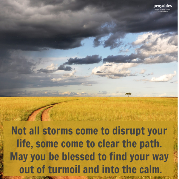 Not all storms come to disrupt your life, some come to clear the path. May you be blessed to find your way out of turmoil and into the calm.