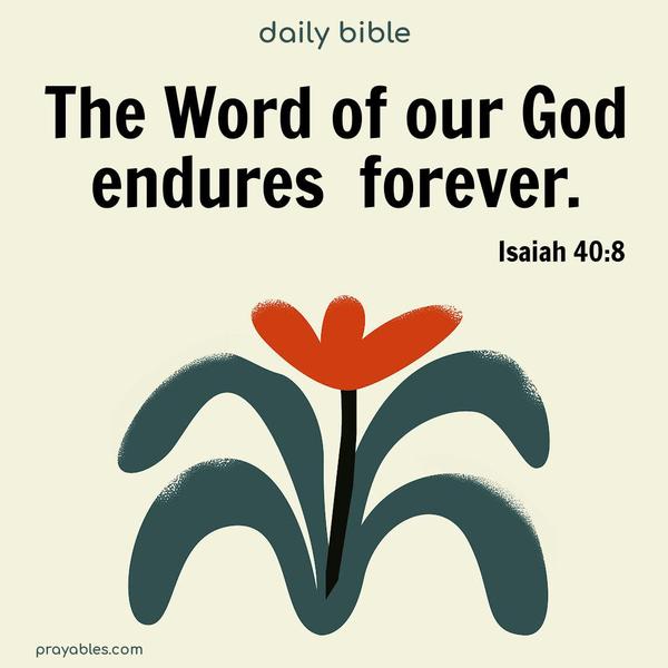 The Word of our God endures forever. Isaiah 40:8
