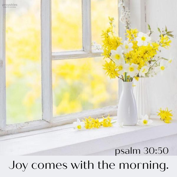 Psalms 30:5 Joy comes with the morning.