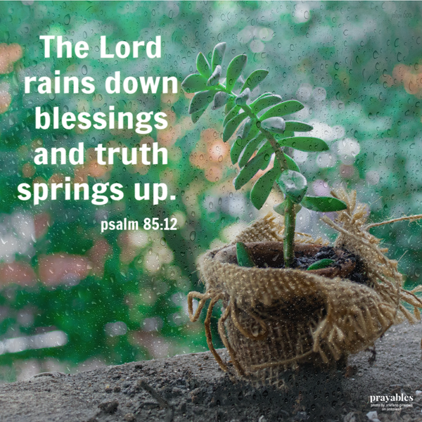 Psalm 85:12 The Lord rains down blessings and truth springs up.